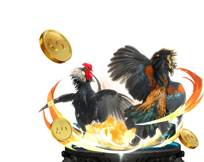 Cá cược thể thao với nhiều môn và tỷ lệ hấp dẫn