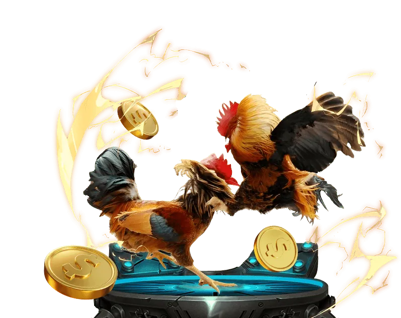 Đá gà trực tuyến với các trận đấu sôi động